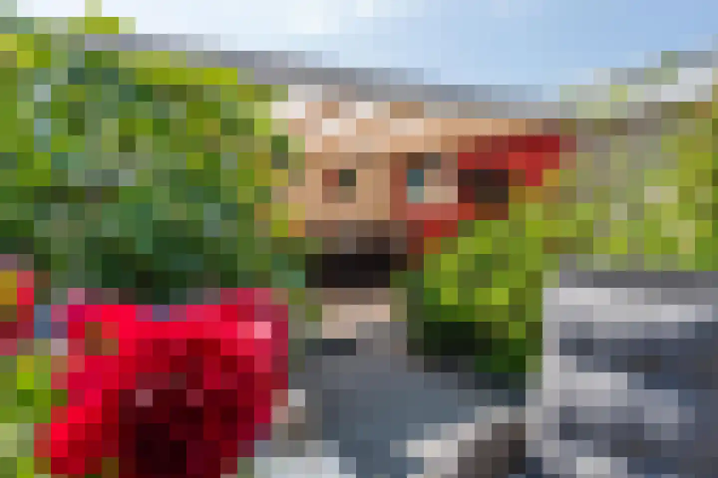 Burgemeester De Cock van Opijnenstraat 29 Tiel thumbnail 35