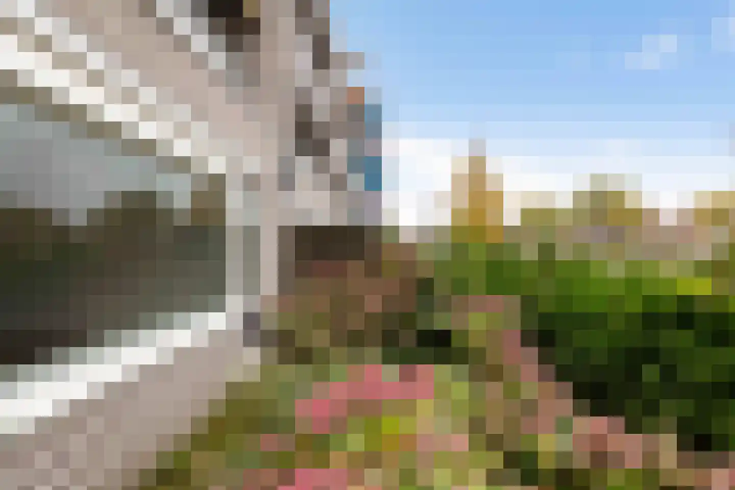 Burgemeester de Dreuplein 100 Assen thumbnail 11