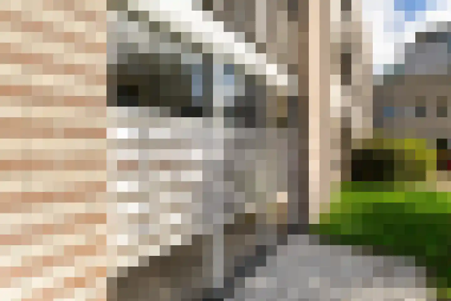 Burgemeester de Dreuplein 100 Assen thumbnail 36
