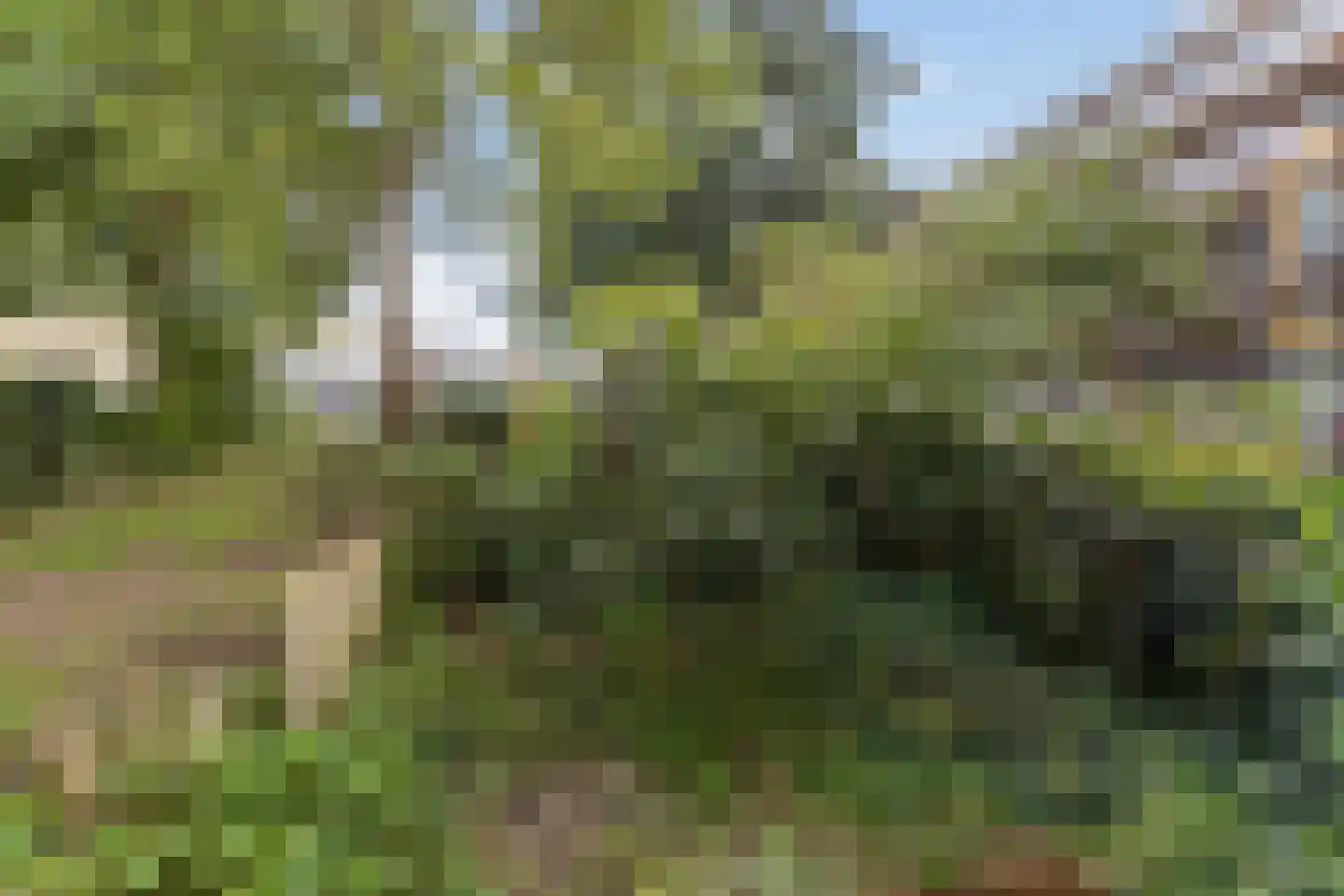 Burgemeester de Dreuplein 106 Assen thumbnail 43