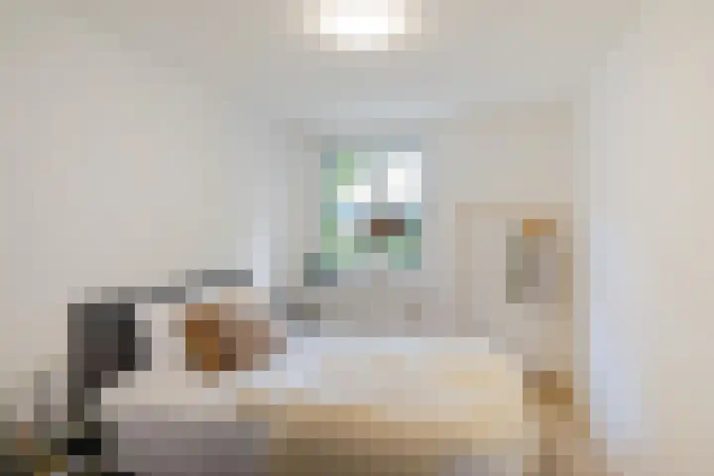 Burgemeester de Dreuplein 106 Assen thumbnail 6