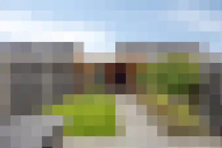 Burgemeester de Geusstraat 12 Waalwijk thumbnail 4