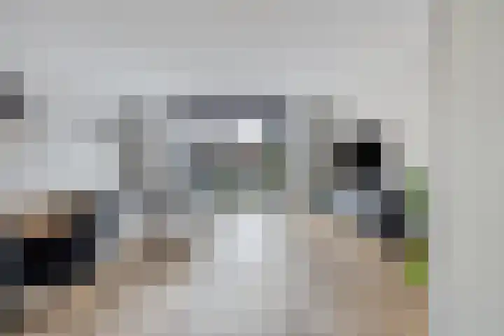 Burgemeester de Geusstraat 12 Waalwijk thumbnail 7