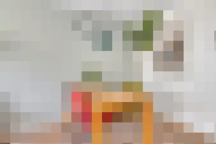 Burgemeester de Geusstraat 4 Zuidoostbeemster thumbnail 15