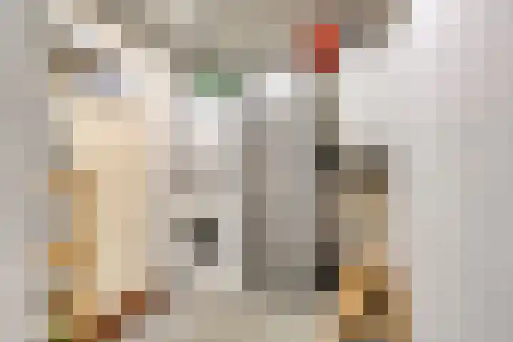 Burgemeester de Geusstraat 4 Zuidoostbeemster thumbnail 17