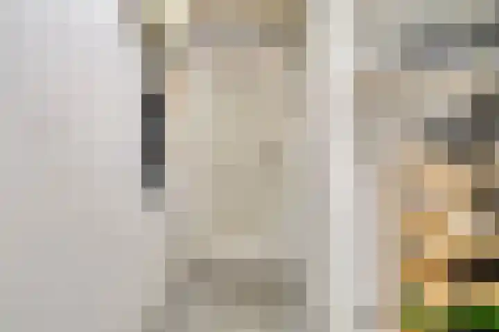 Burgemeester de Geusstraat 4 Zuidoostbeemster thumbnail 18