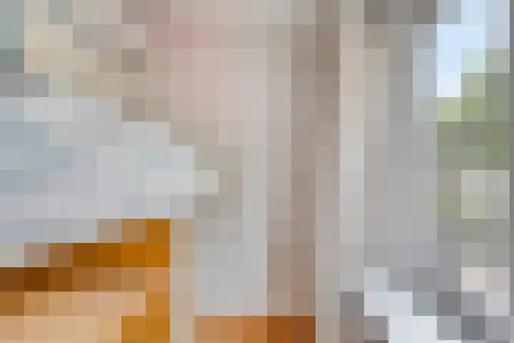 Burgemeester de Geusstraat 4 Zuidoostbeemster thumbnail 25