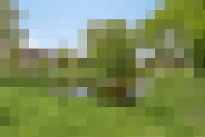 Burgemeester de Geusstraat 4 Zuidoostbeemster thumbnail 27