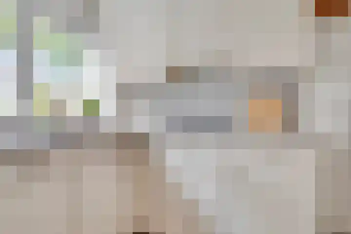Burgemeester de Geusstraat 4 Zuidoostbeemster thumbnail 4