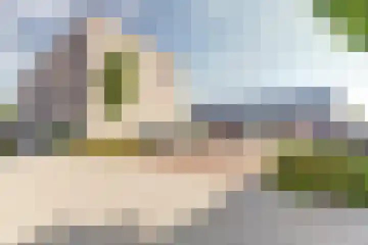 Burgemeester de Geusstraat 6 Waalwijk thumbnail 35