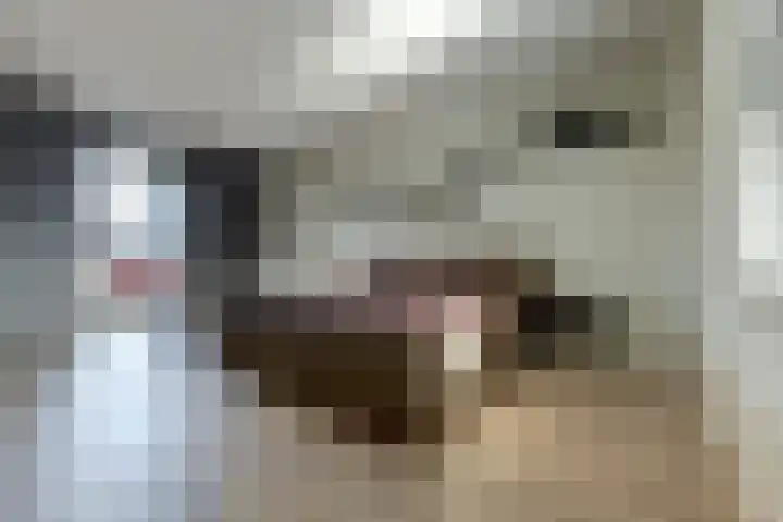 Burgemeester de Geusstraat 6 Waalwijk thumbnail 4