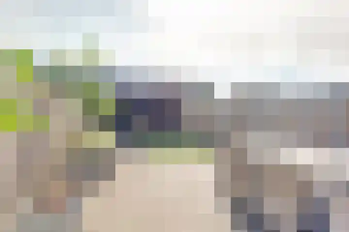 Burgemeester de Geusstraat 6 Waalwijk thumbnail 5