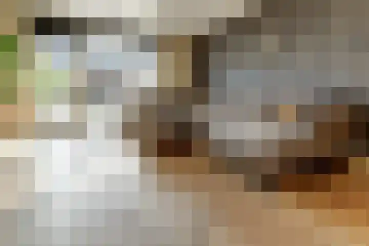 Burgemeester de Geusstraat 6 Waalwijk thumbnail 7