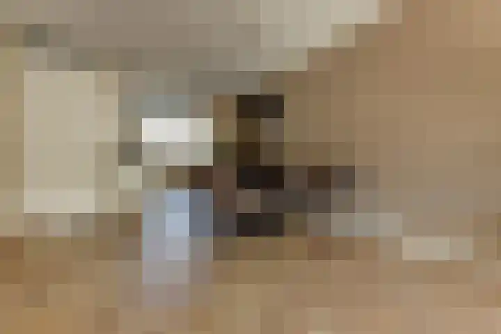 Burgemeester de Geusstraat 6 Waalwijk thumbnail 9