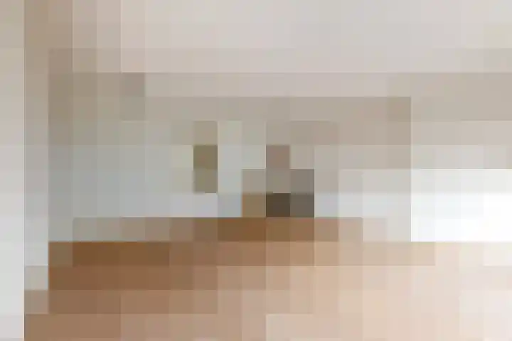 Burgemeester de Geusstraat 8 Zuidoostbeemster thumbnail 10