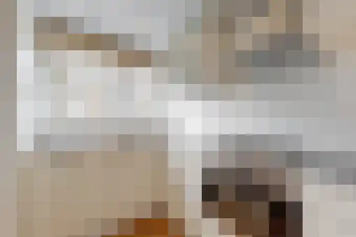 Burgemeester de Geusstraat 8 Zuidoostbeemster thumbnail 11