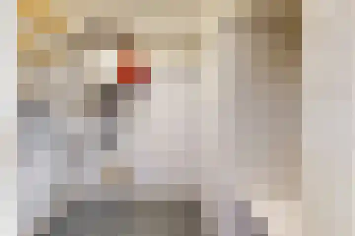 Burgemeester de Geusstraat 8 Zuidoostbeemster thumbnail 13