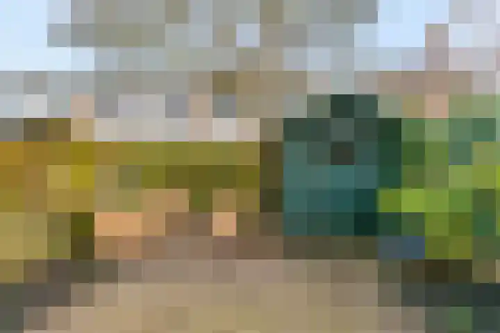 Burgemeester de Geusstraat 8 Zuidoostbeemster thumbnail 25