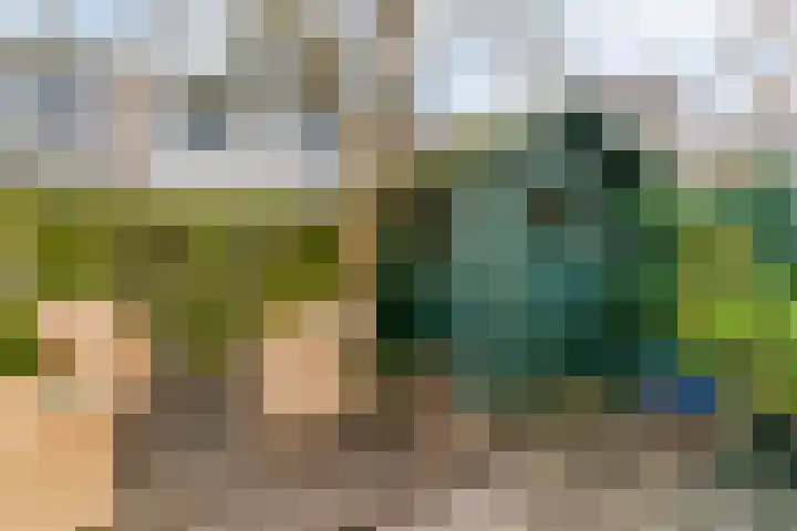 Burgemeester de Geusstraat 8 Zuidoostbeemster thumbnail 26