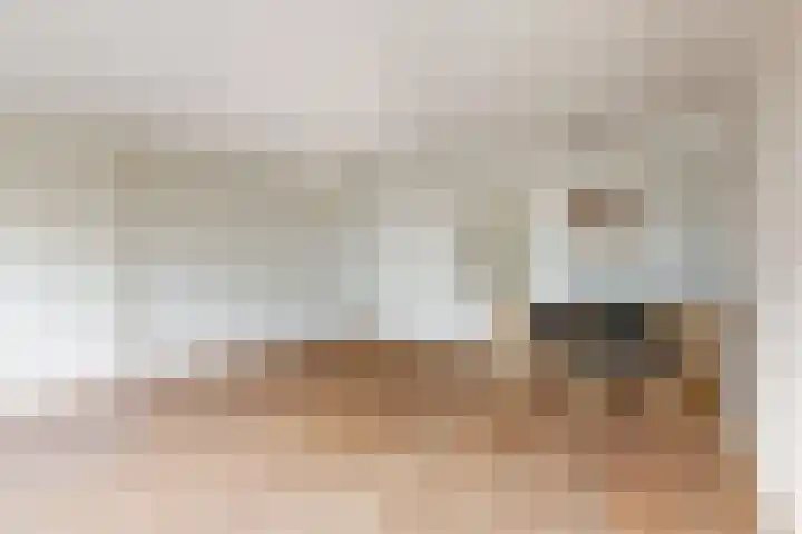 Burgemeester de Geusstraat 8 Zuidoostbeemster thumbnail 9