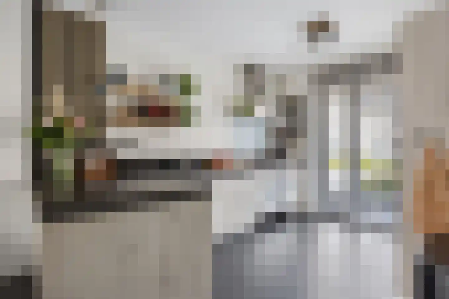 Burgemeester de Geusstraat 80 Waalwijk thumbnail 9