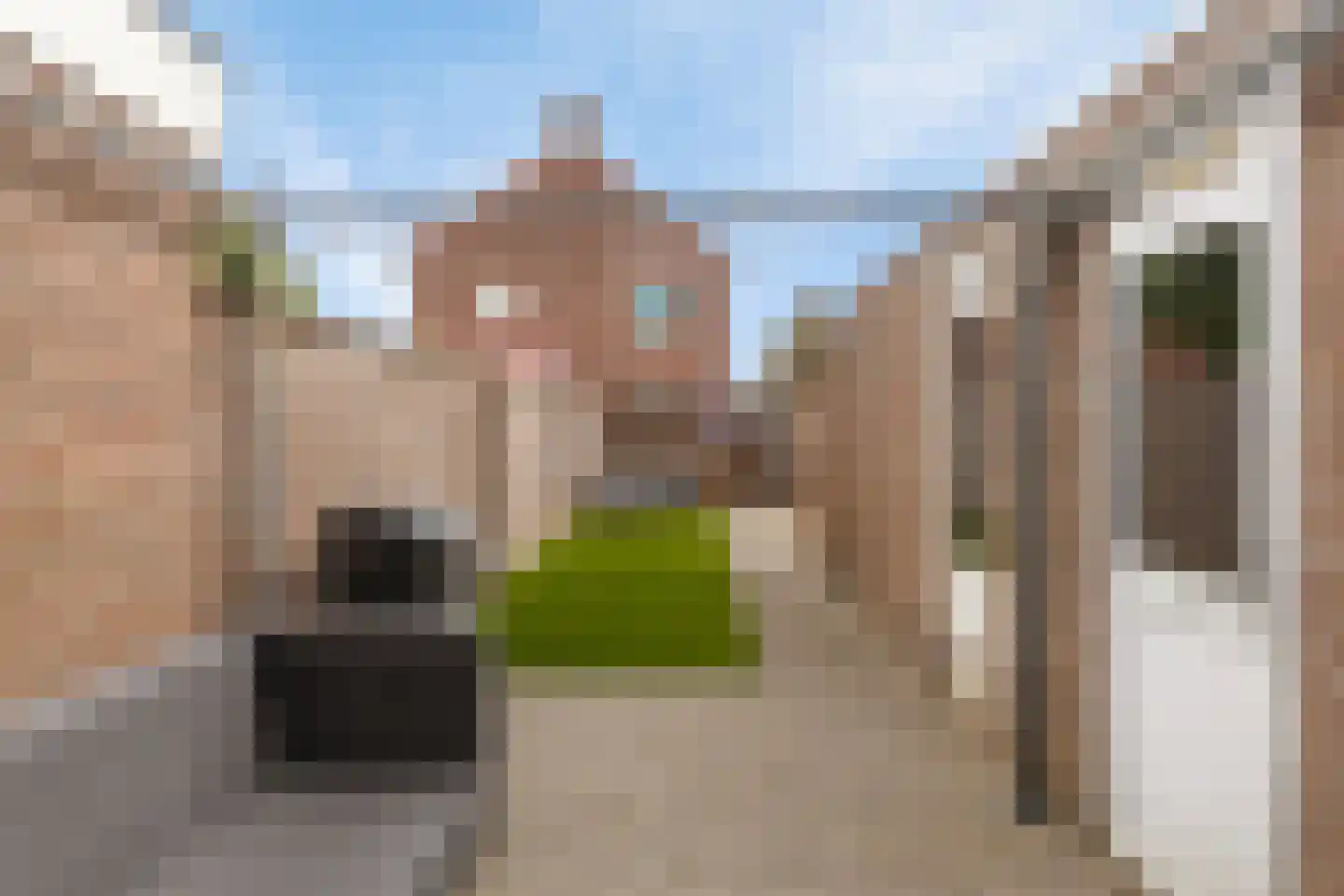 Burgemeester de Grauwstraat 24 Baarle-Nassau thumbnail 29