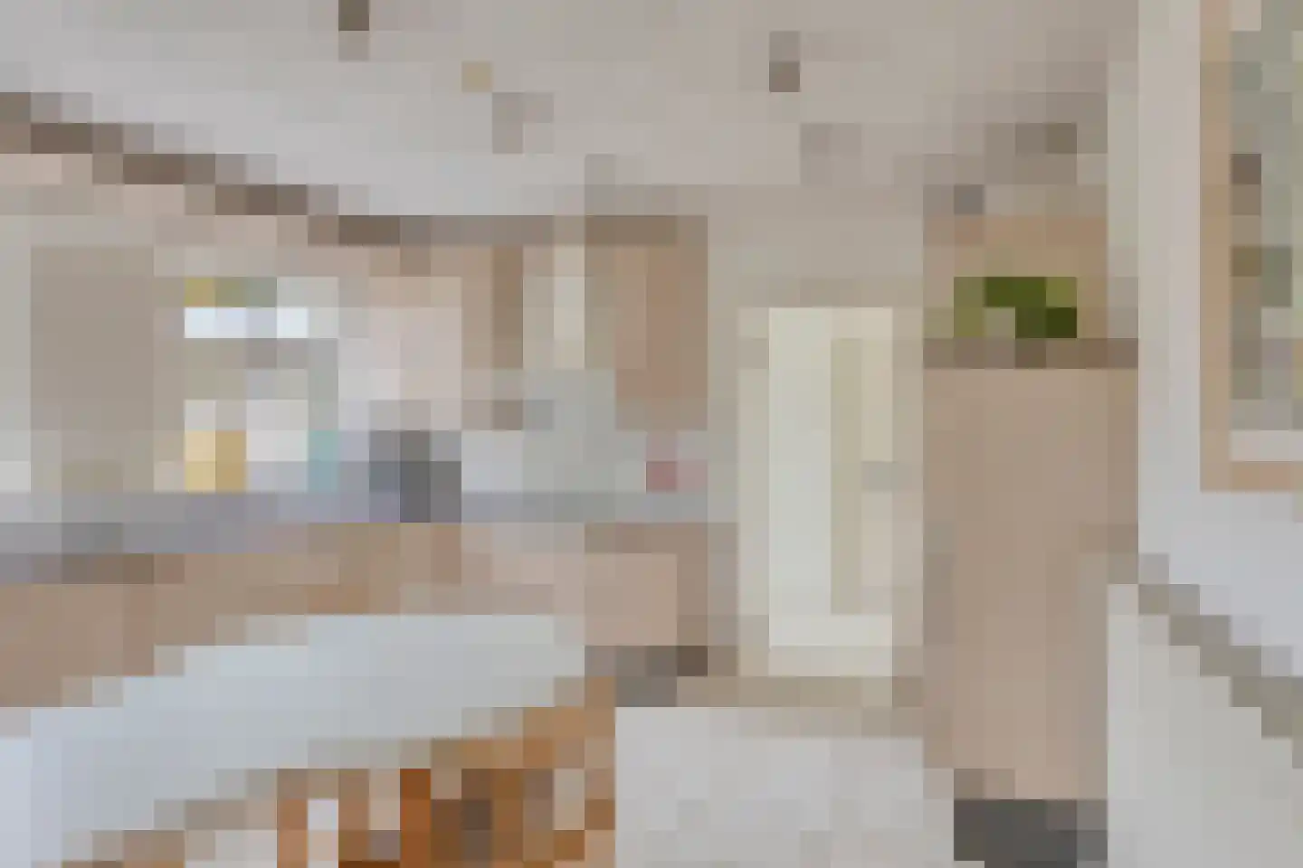 Burgemeester de Grootstraat 12 Schaijk thumbnail 17