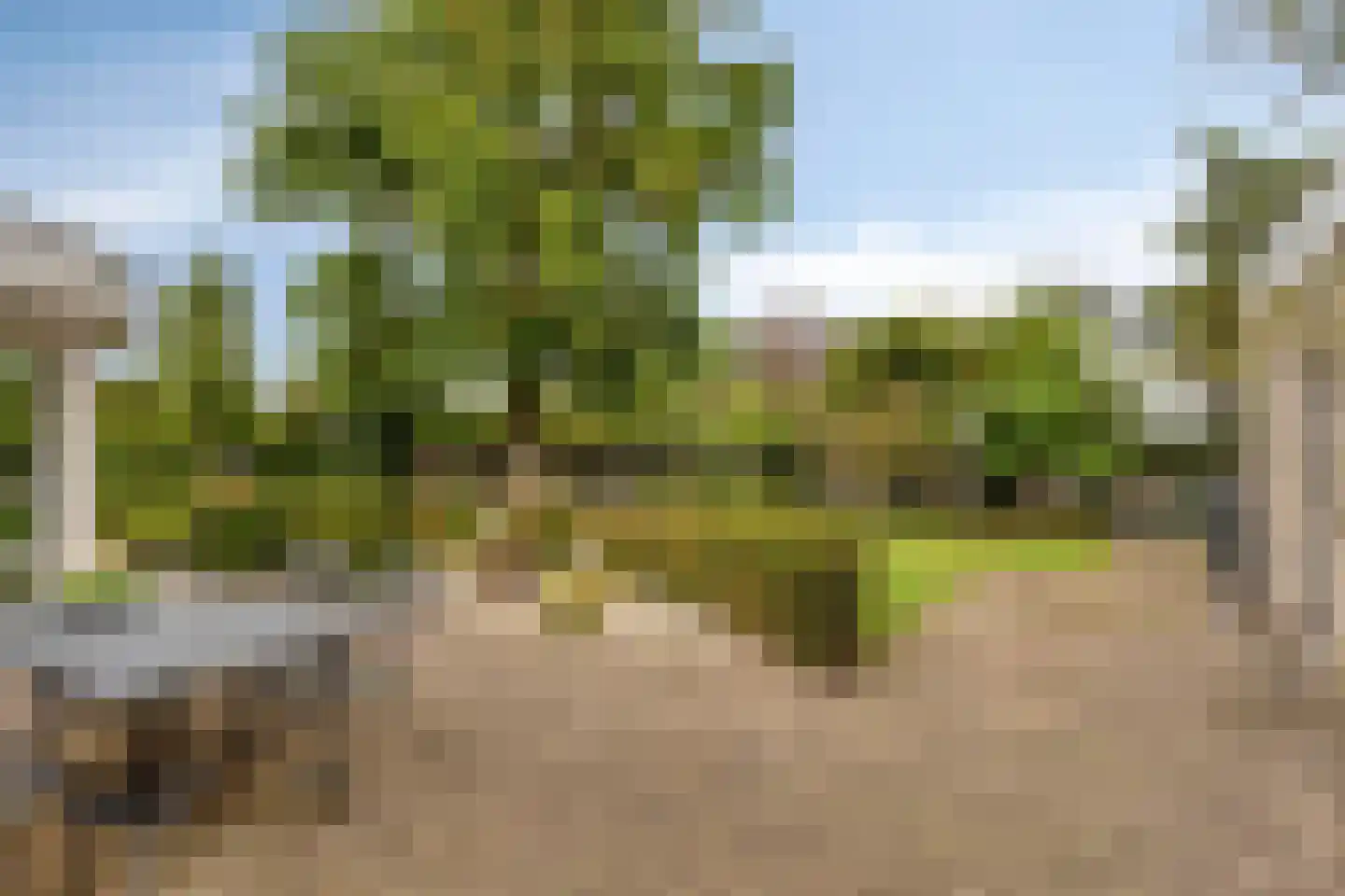 Burgemeester de Grootstraat 12 Schaijk thumbnail 26