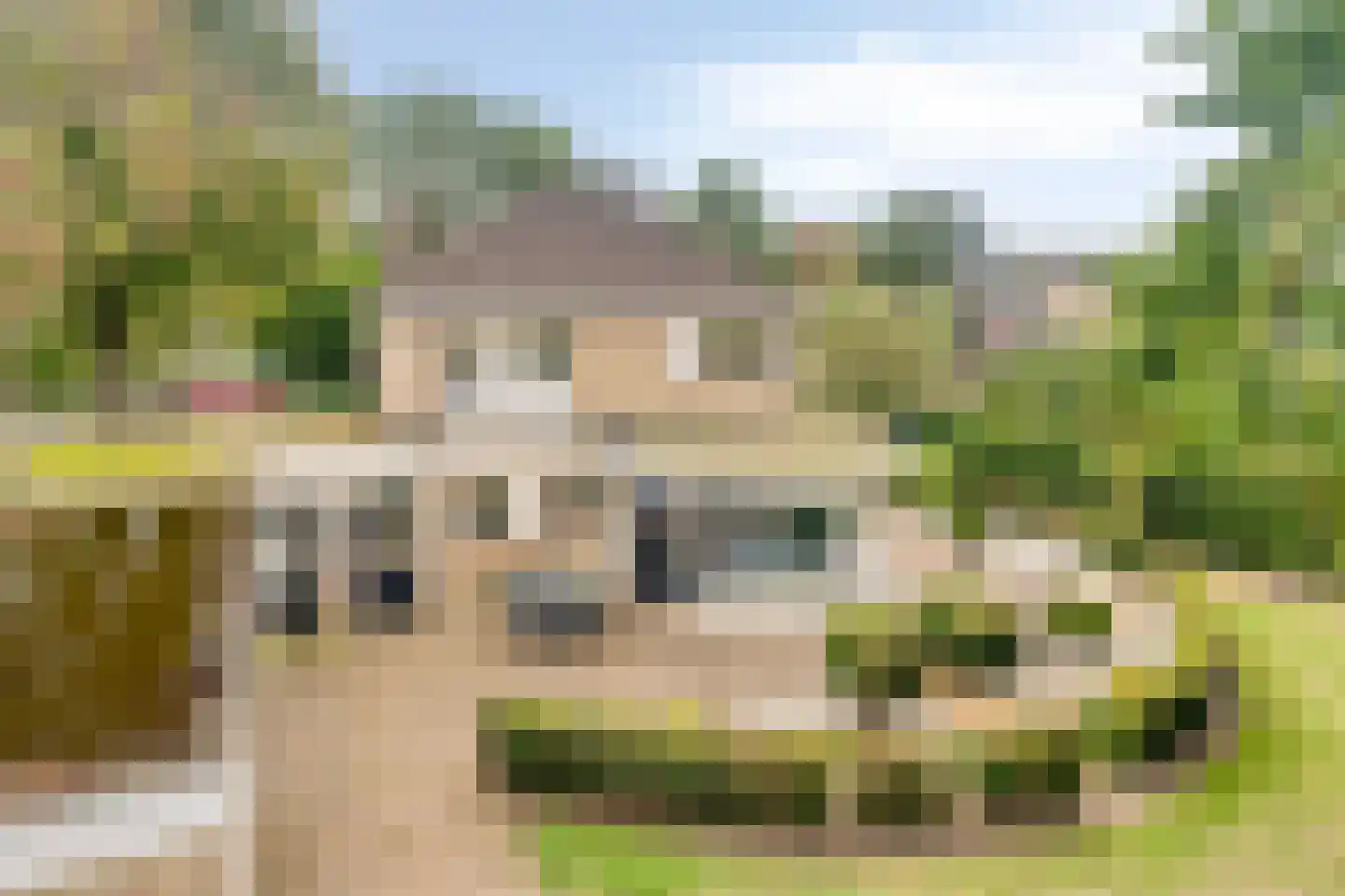 Burgemeester de Grootstraat 12 Schaijk thumbnail 28