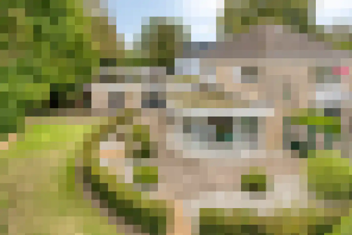 Burgemeester de Grootstraat 12 Schaijk thumbnail 33