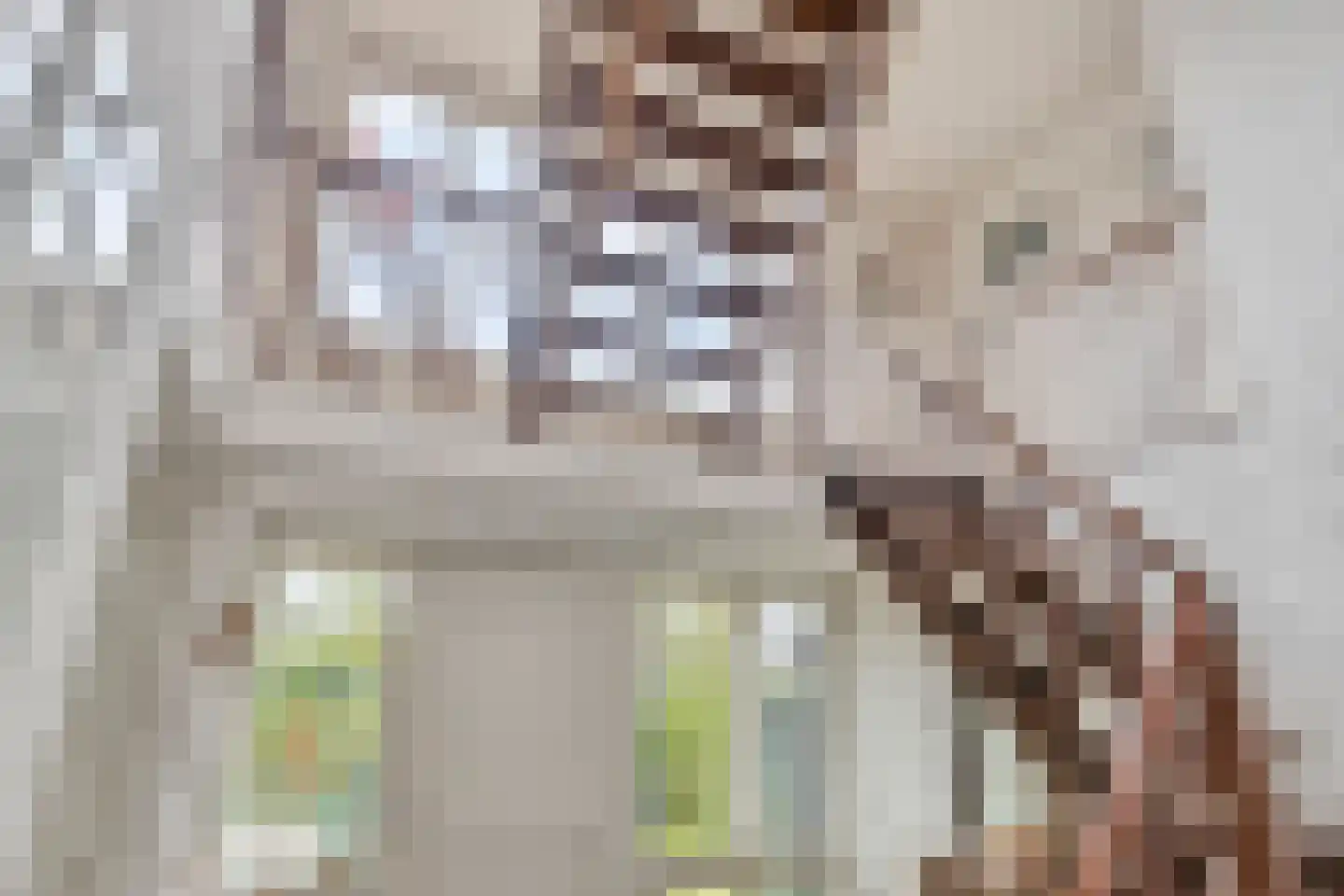 Burgemeester de Grootstraat 12 Schaijk thumbnail 35