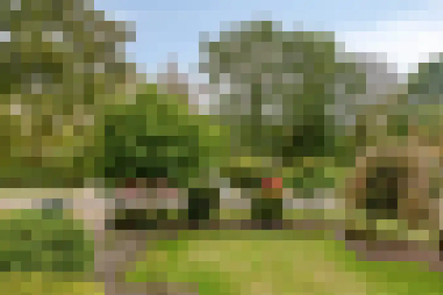 Burgemeester de Grootstraat 12 Schaijk thumbnail 45