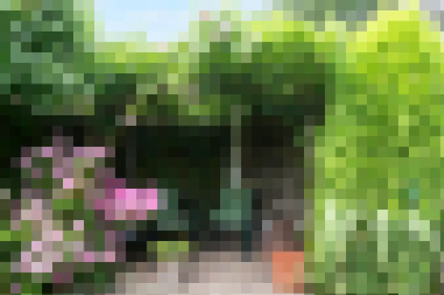 Burgemeester de Herderplantsoen 11 Koudekerk aan den Rijn thumbnail 19
