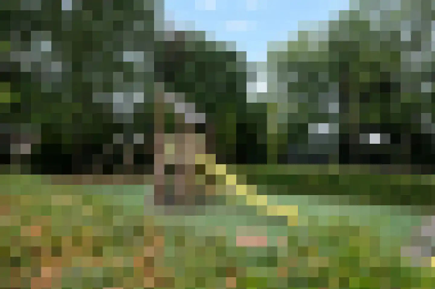 Burgemeester de Herderplantsoen 11 Koudekerk aan den Rijn thumbnail 34
