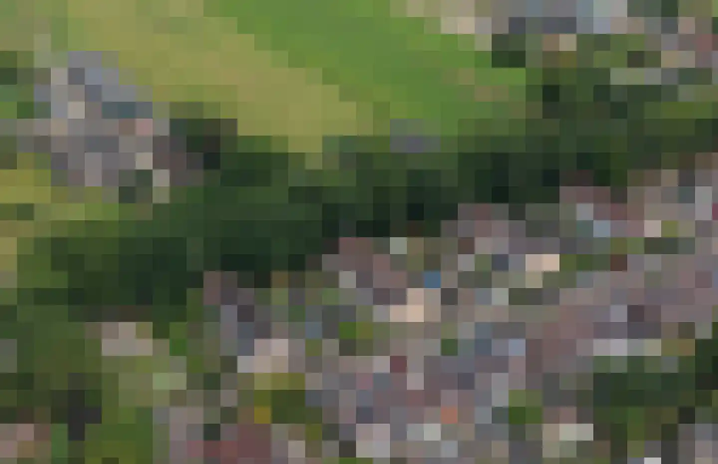 Burgemeester de Herderplantsoen 11 Koudekerk aan den Rijn thumbnail 37
