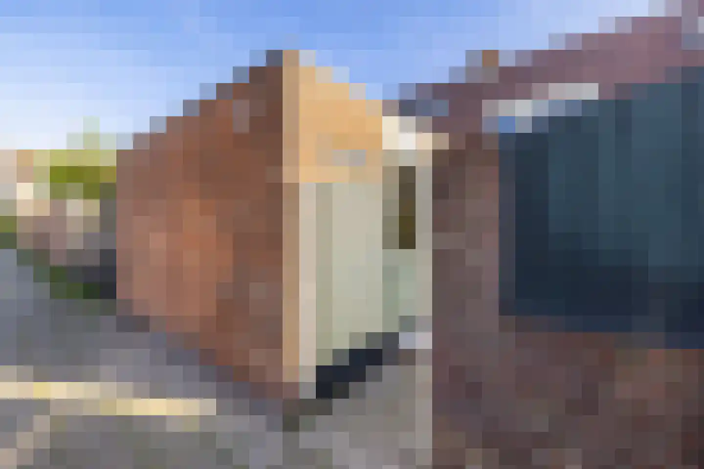 Burgemeester de Katlaan 11 Hillegom thumbnail 30