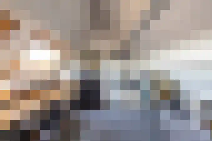 Burgemeester de Katlaan 13 Hillegom thumbnail 21
