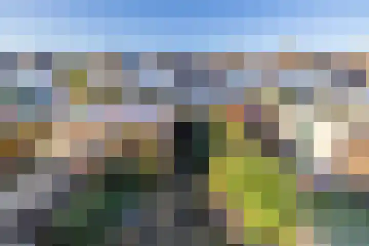 Burgemeester de Katlaan 13 Hillegom thumbnail 23