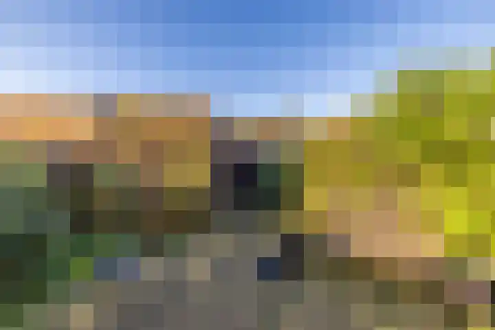 Burgemeester de Katlaan 13 Hillegom thumbnail 26