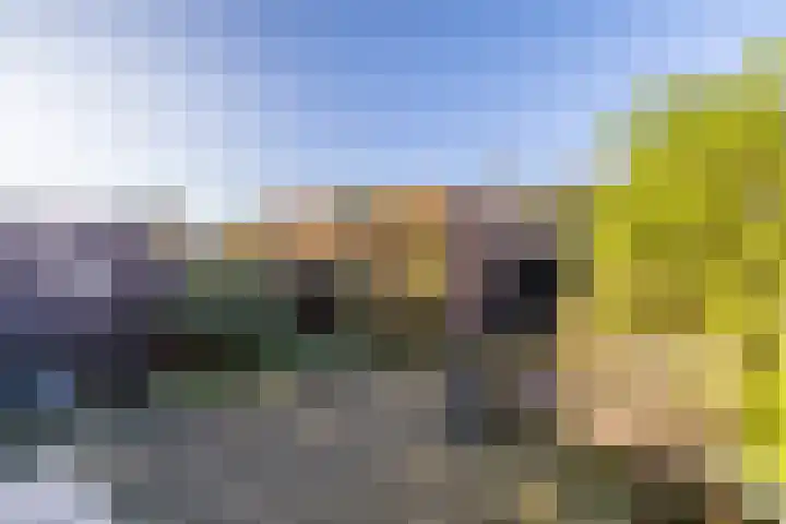 Burgemeester de Katlaan 13 Hillegom thumbnail 27