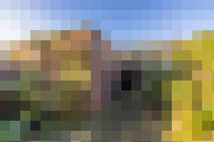 Burgemeester de Katlaan 13 Hillegom thumbnail 29