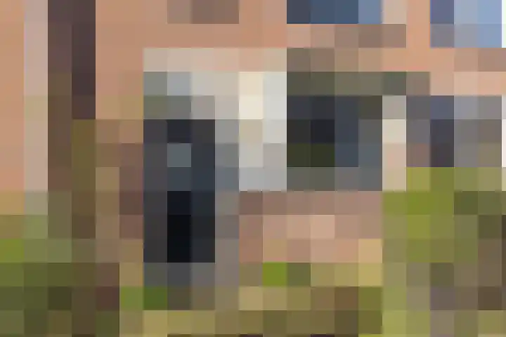 Burgemeester de Katlaan 13 Hillegom thumbnail 6
