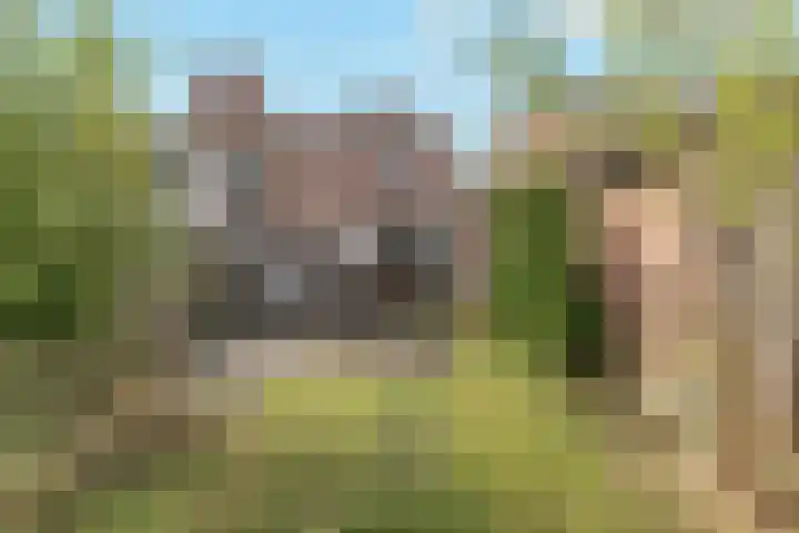 Burgemeester de Kievietstraat 41 Diemen thumbnail 26