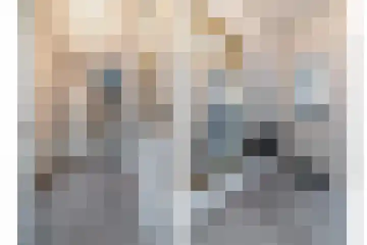 Burgemeester de Kievietstraat 41 Diemen thumbnail 4