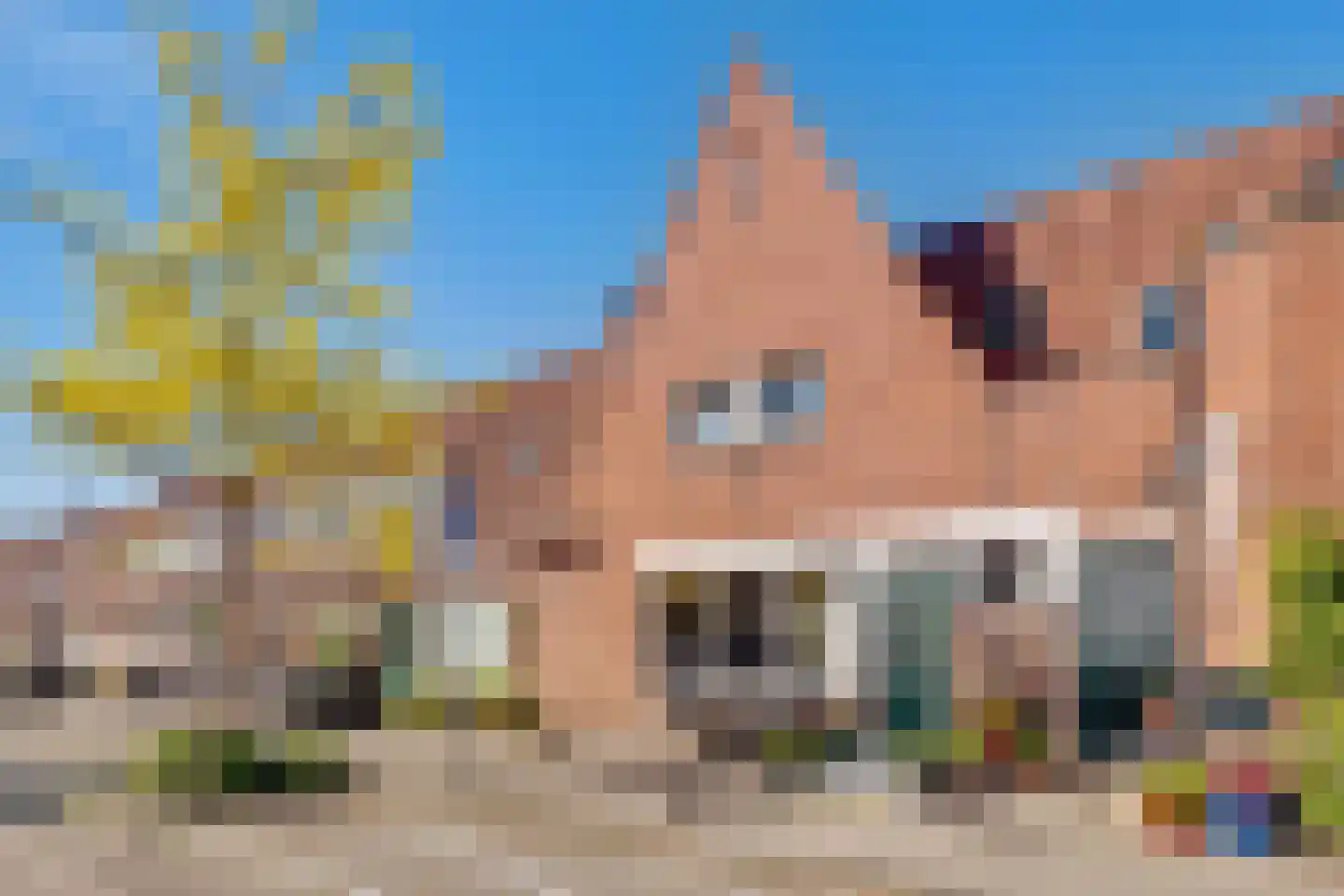 Burgemeester de Kievietstraat 85 Diemen