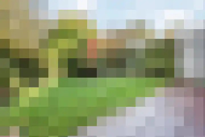 Burgemeester De Koolplantsoen 15 Voorschoten thumbnail 22