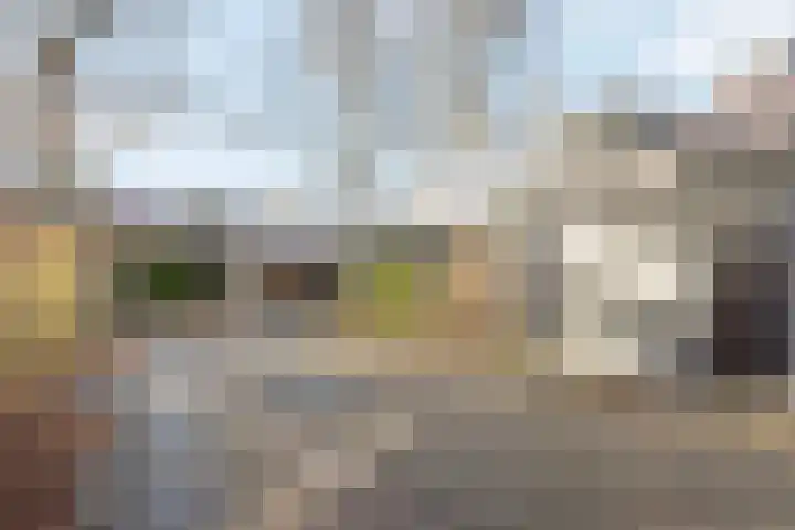 Burgemeester De Koolplantsoen 15 Voorschoten thumbnail 28