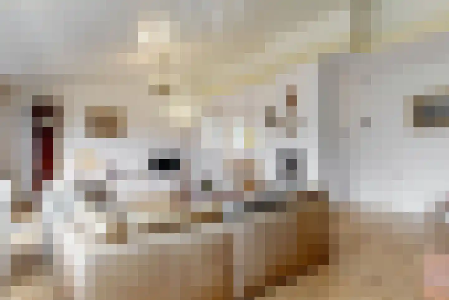 Burgemeester De Koolplantsoen 6 Voorschoten thumbnail 8