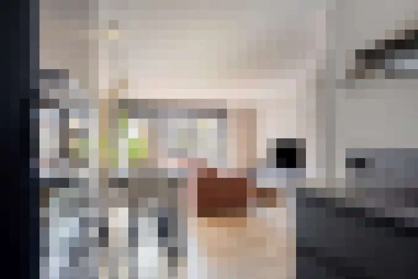 Burgemeester de Kortesingel 14 Scherpenzeel thumbnail 10