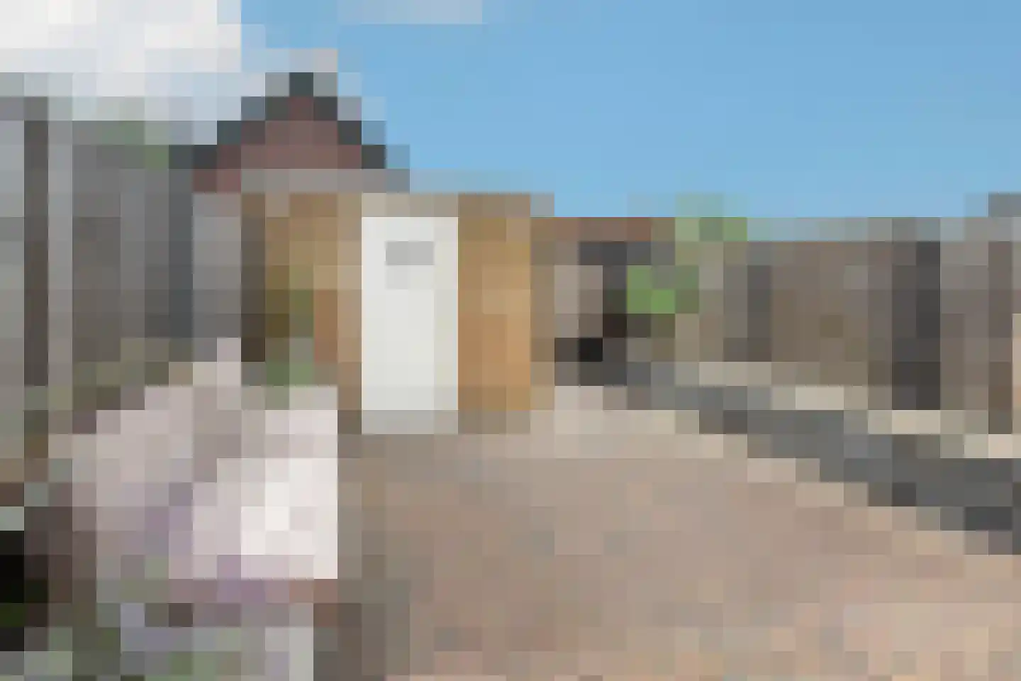 Burgemeester de Kortesingel 14 Scherpenzeel thumbnail 28